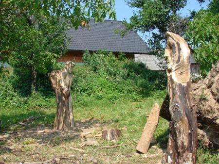 Kiparska kolonija 2010 6